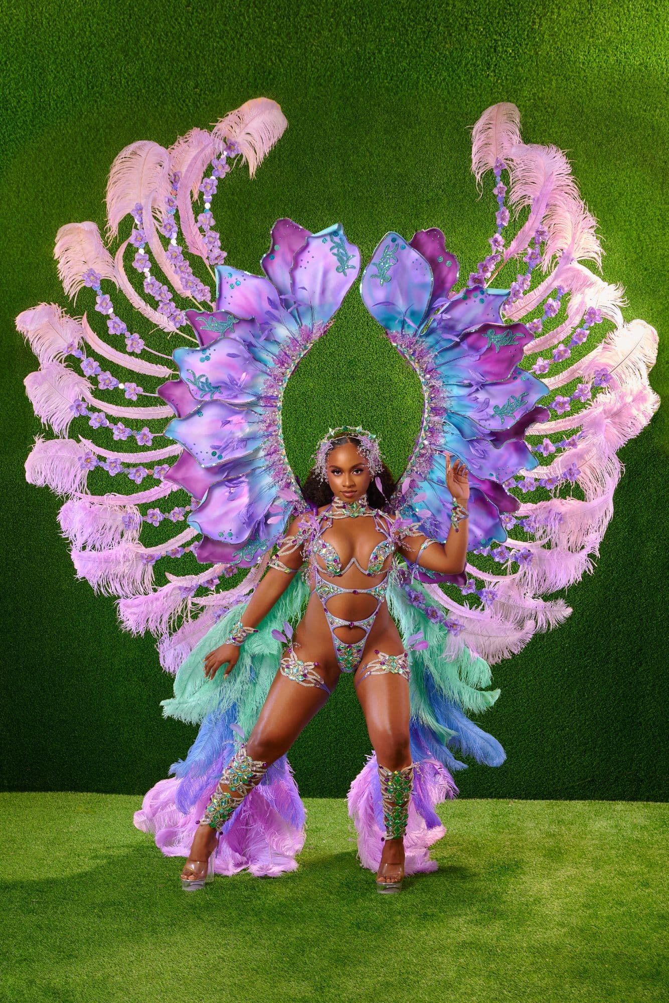 Package image